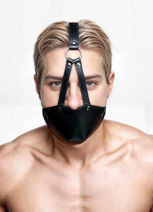 Mouth Harness With Ball Gag