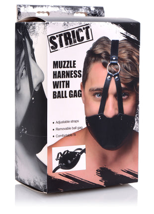 Mouth Harness With Ball Gag