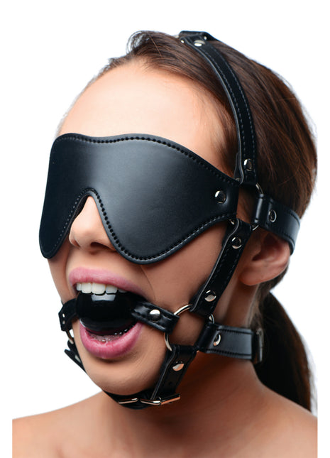 Blindfold Harness And Black Ball Gag