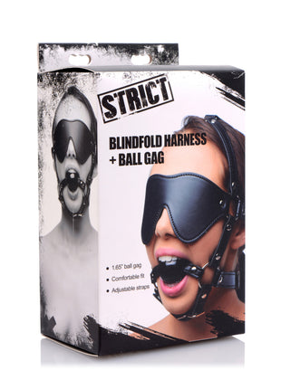 Blindfold Harness And Black Ball Gag