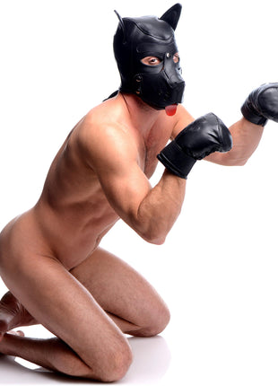 Strict Leather Padded Puppy Mitts