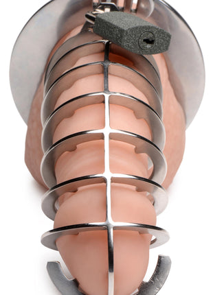 Stainless Steel Spiked Chastity Cage