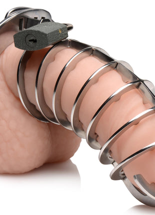 Stainless Steel Spiked Chastity Cage