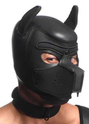 Full Pup Arsenal Set