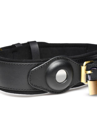 Tracer Tracking Collar