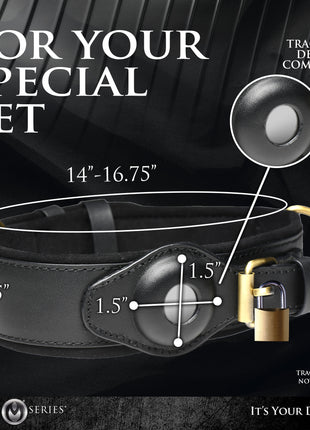 Tracer Tracking Collar