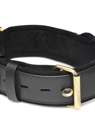 Tracer Tracking Collar